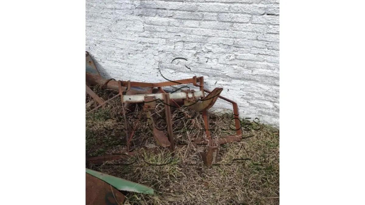LOTE 007