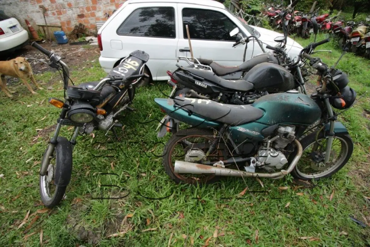 LOTE 0046