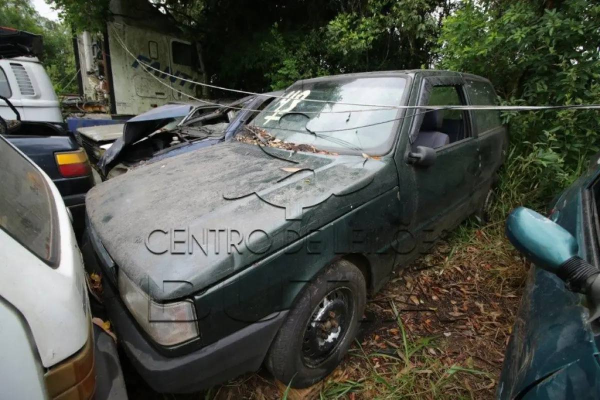 LOTE 0049