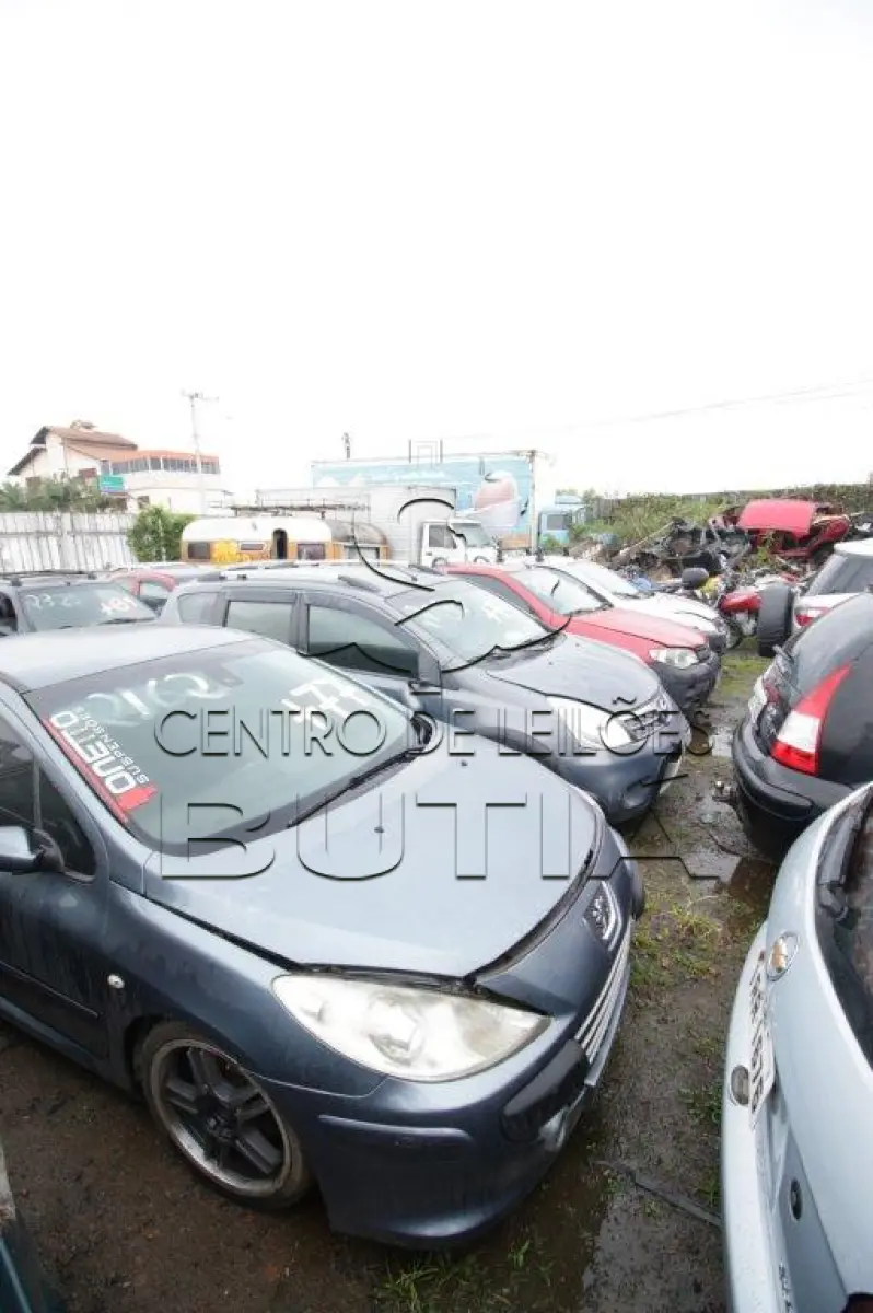LOTE 0077
