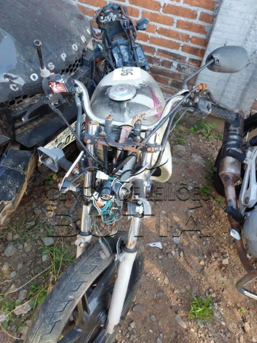 LOTE 0152