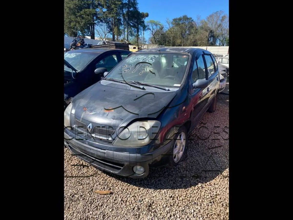 LOTE 0317
