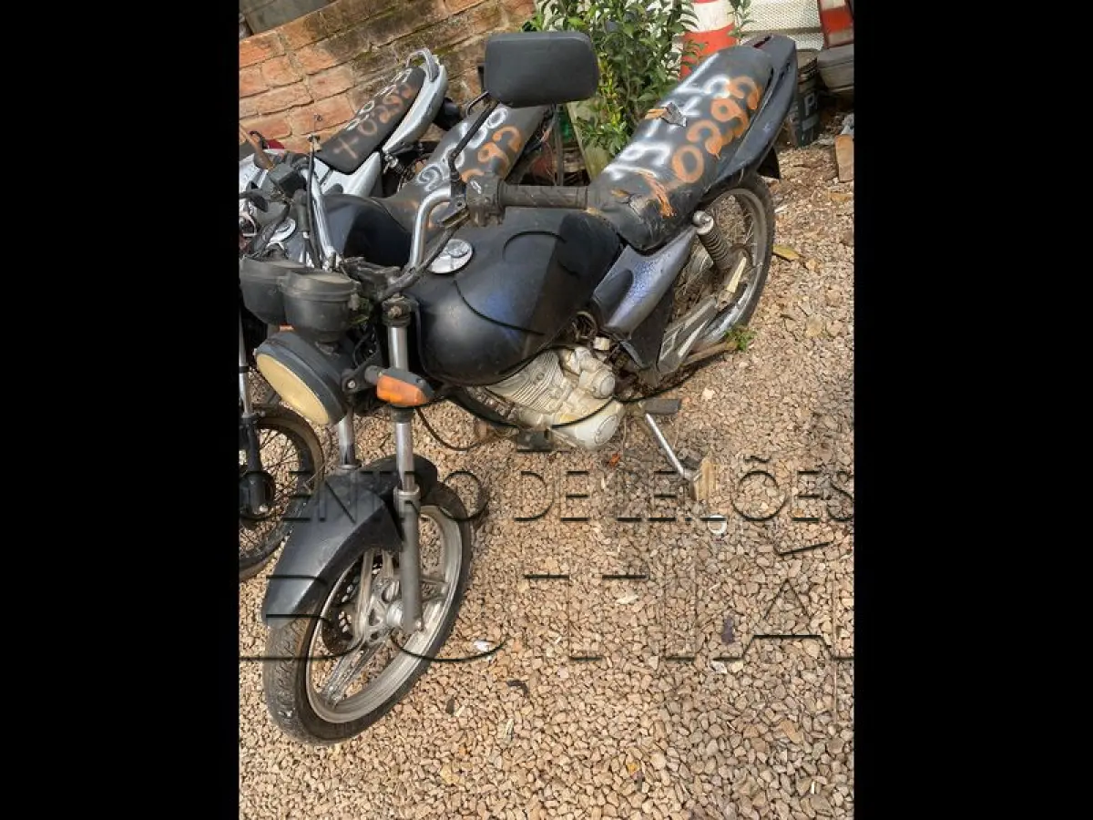 LOTE 0292