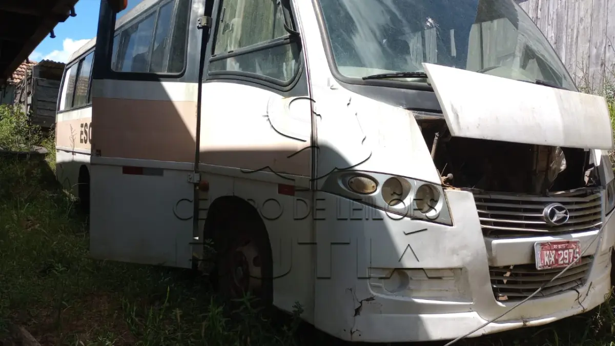 LOTE 002 - MICRÔNIBUS
