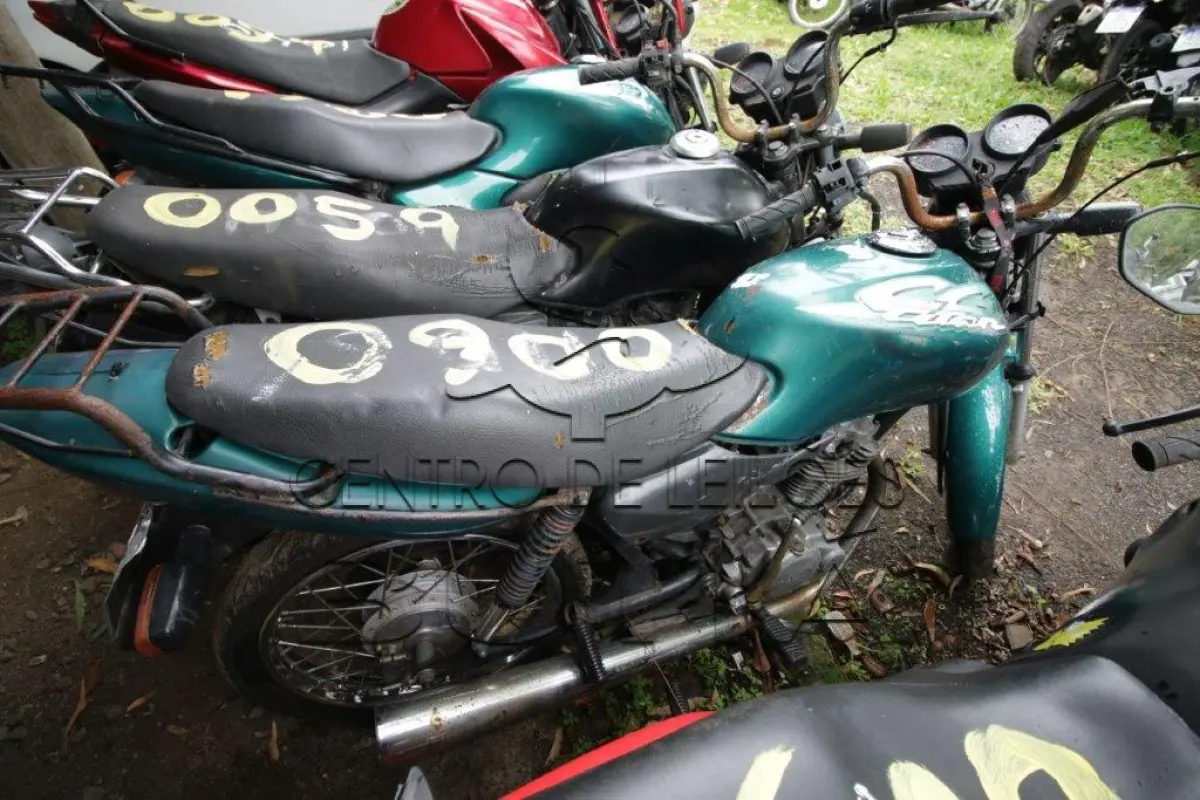 LOTE 0060