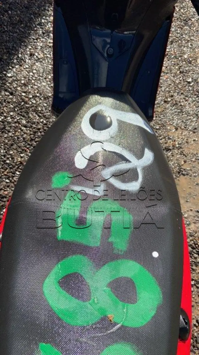 LOTE 0029