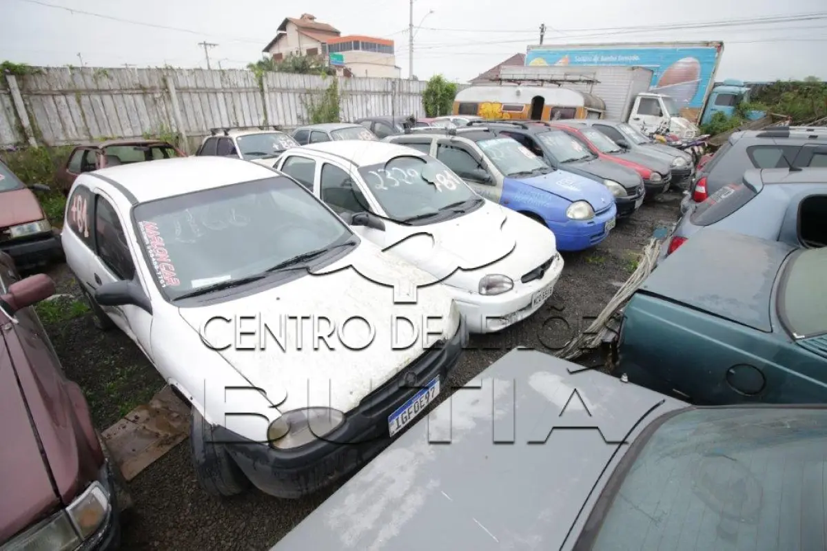 LOTE 0081