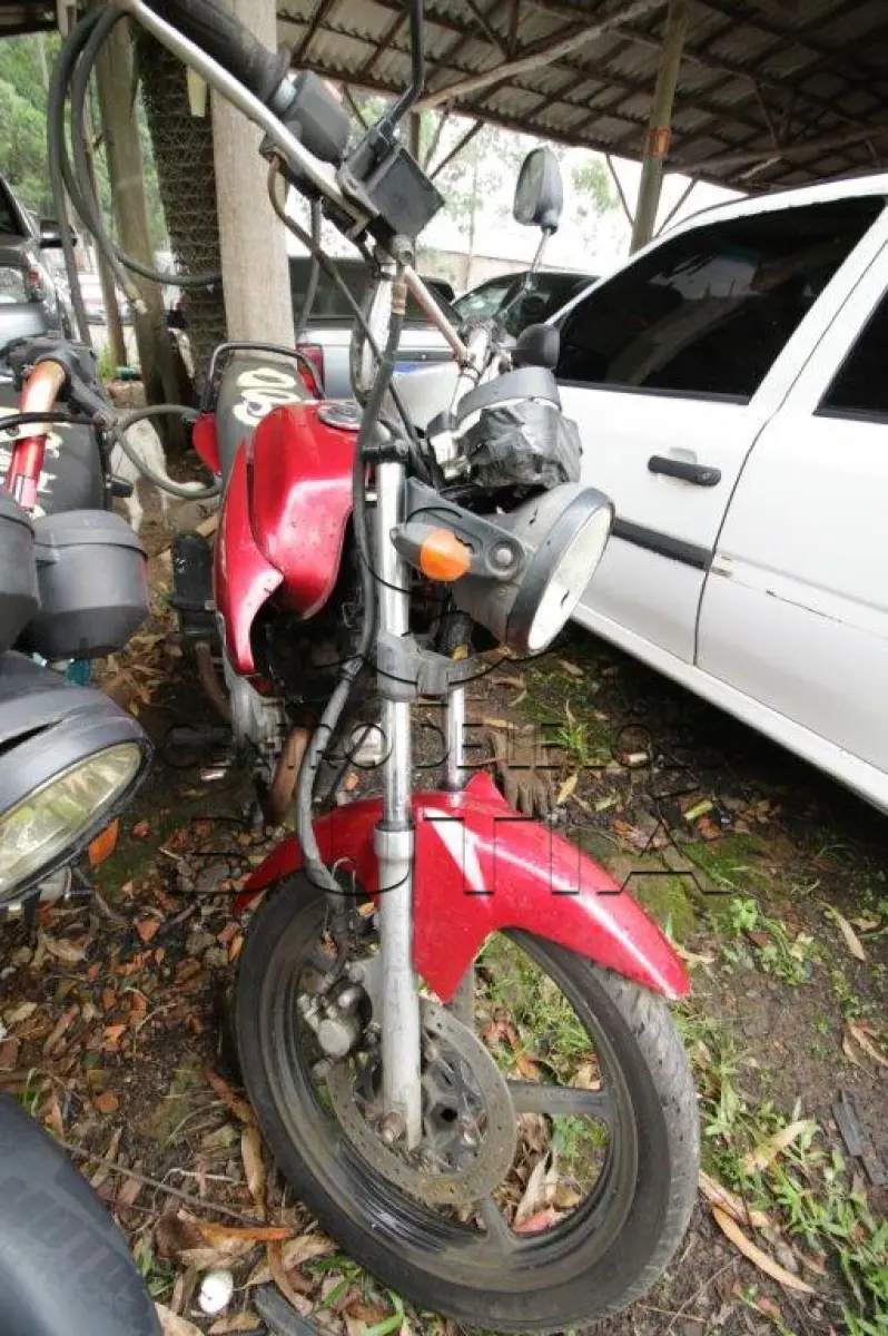 LOTE 0054