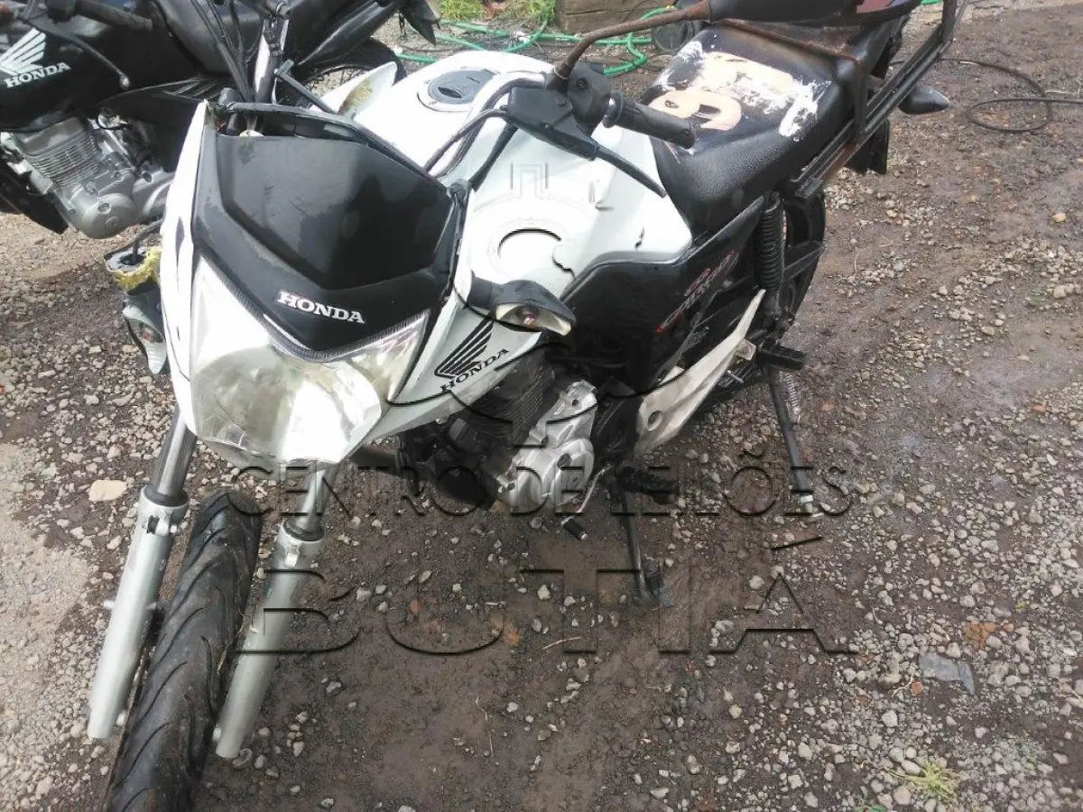 LOTE 0091