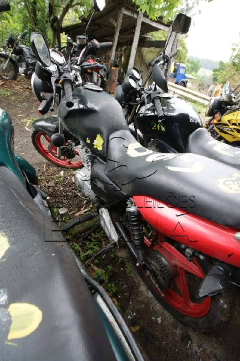 LOTE 0058