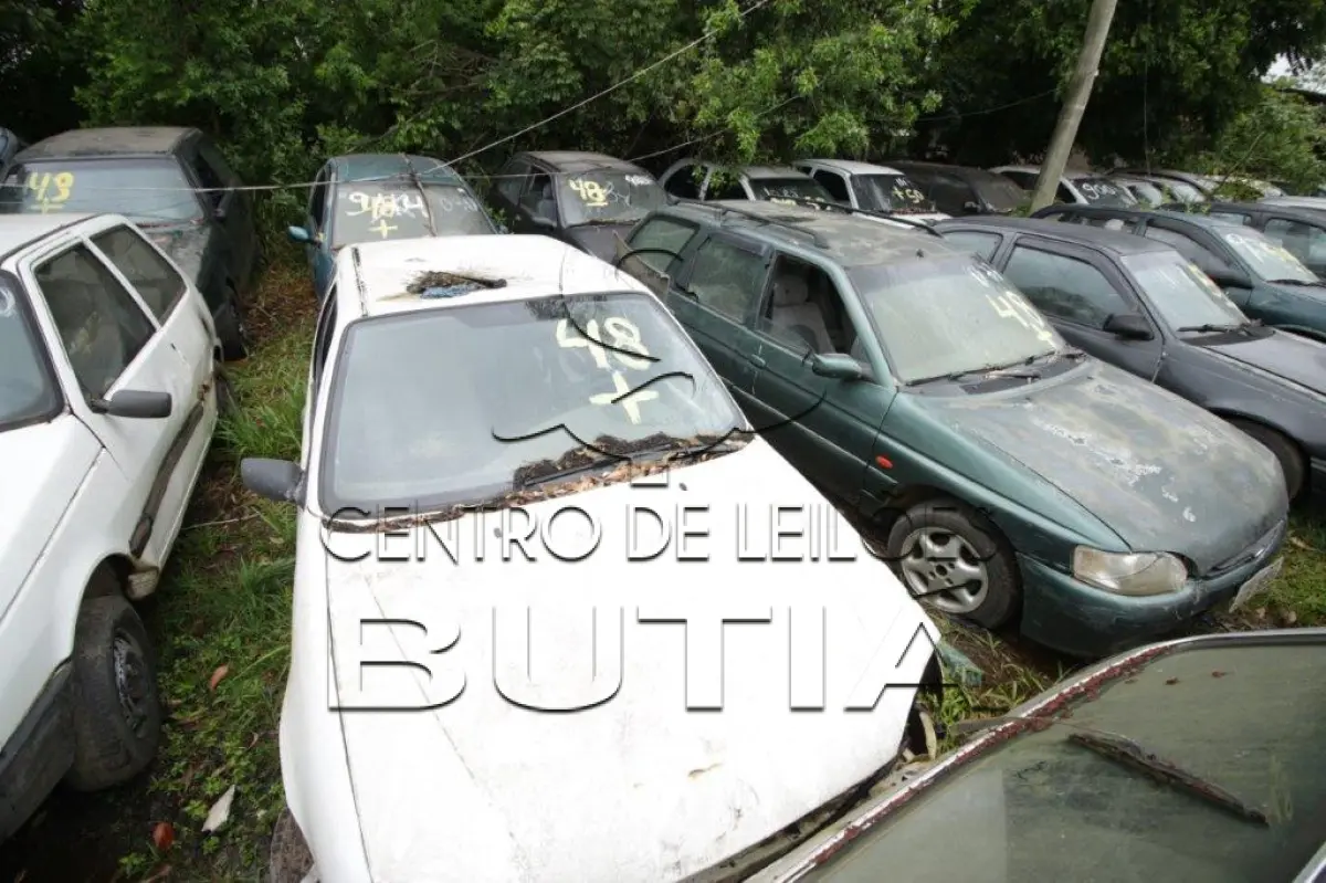 LOTE 0048