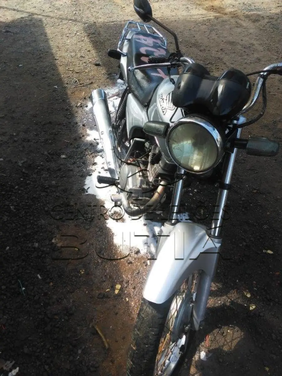 LOTE 0124