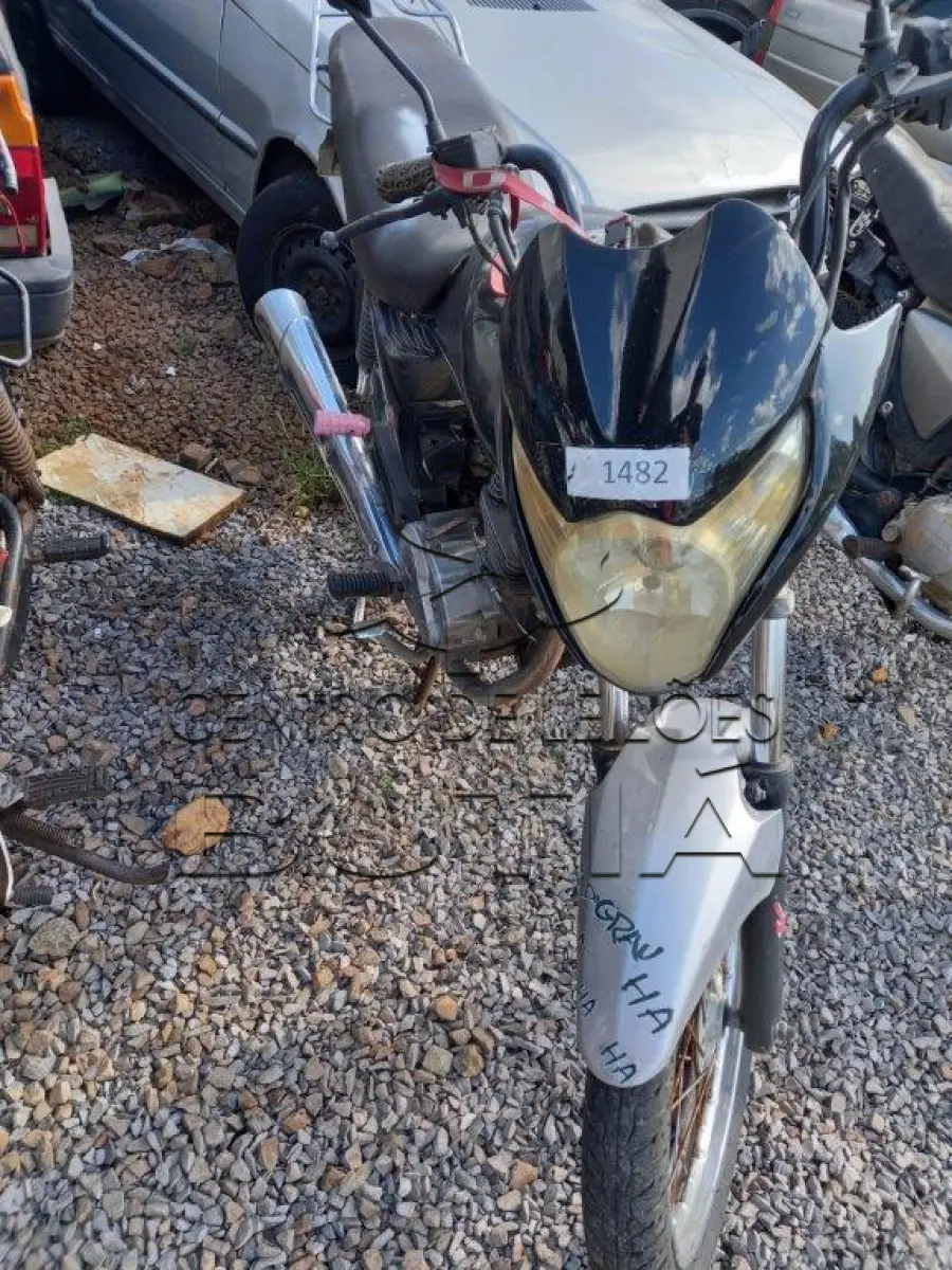 LOTE 0169