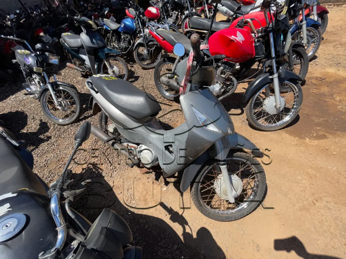 LOTE 0083