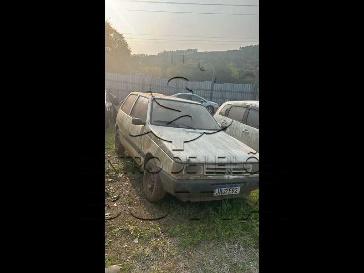 LOTE 0002