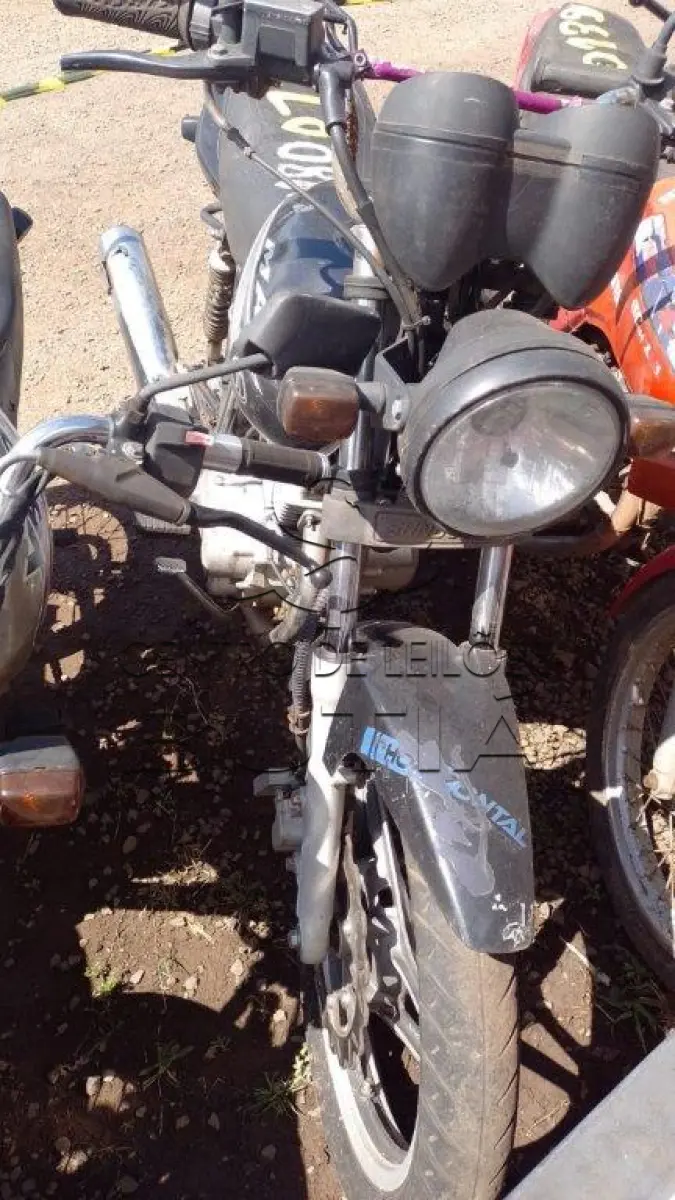 LOTE 0139