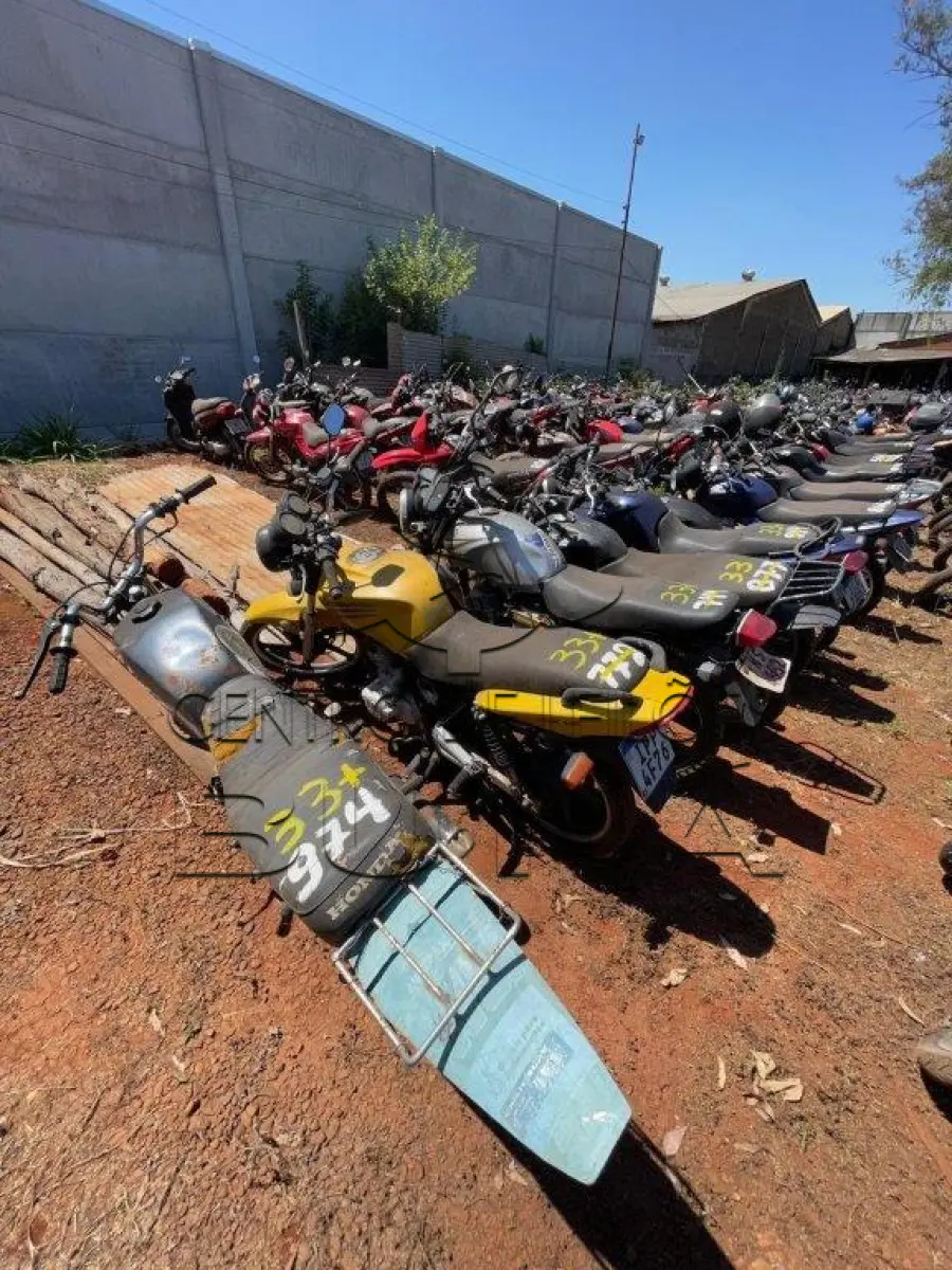 LOTE 0033