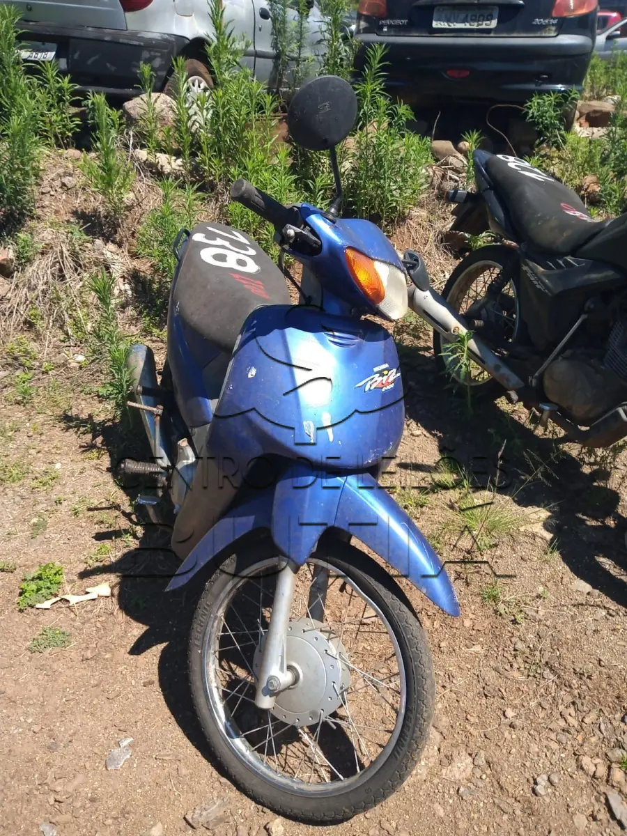 LOTE 0011
