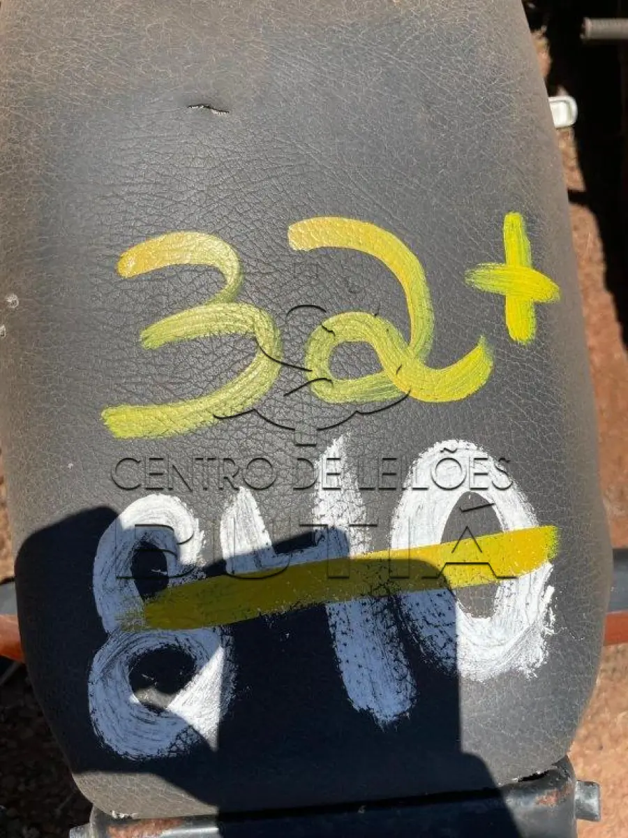 LOTE 0032
