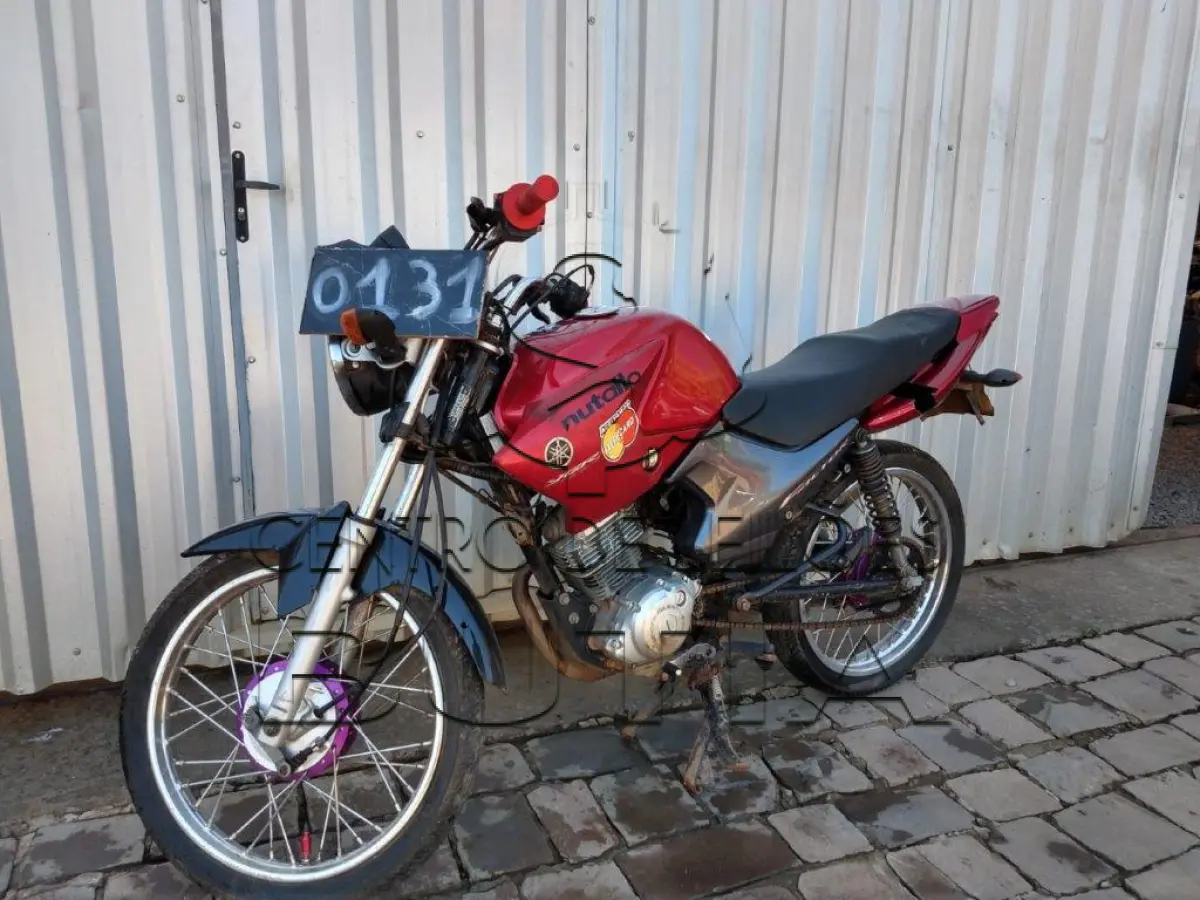 LOTE 0131