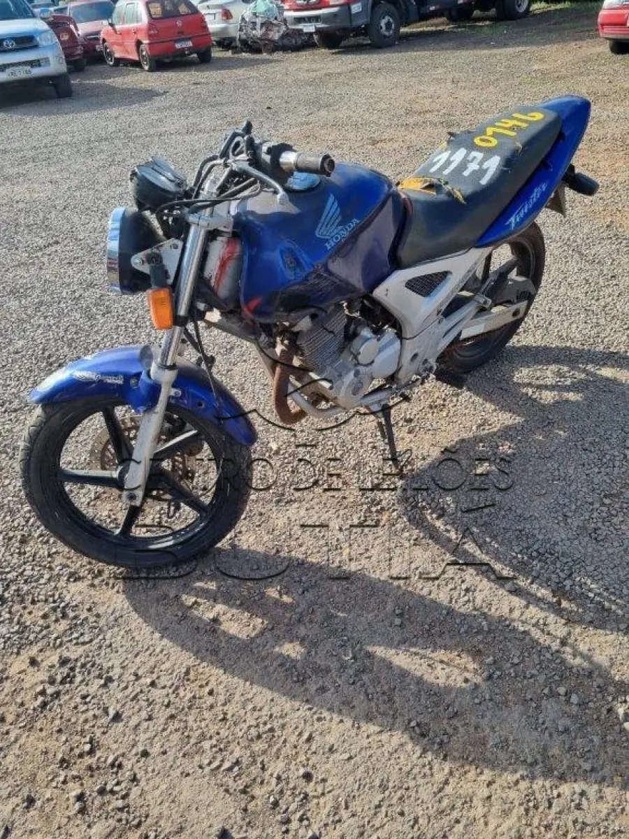 LOTE 0146
