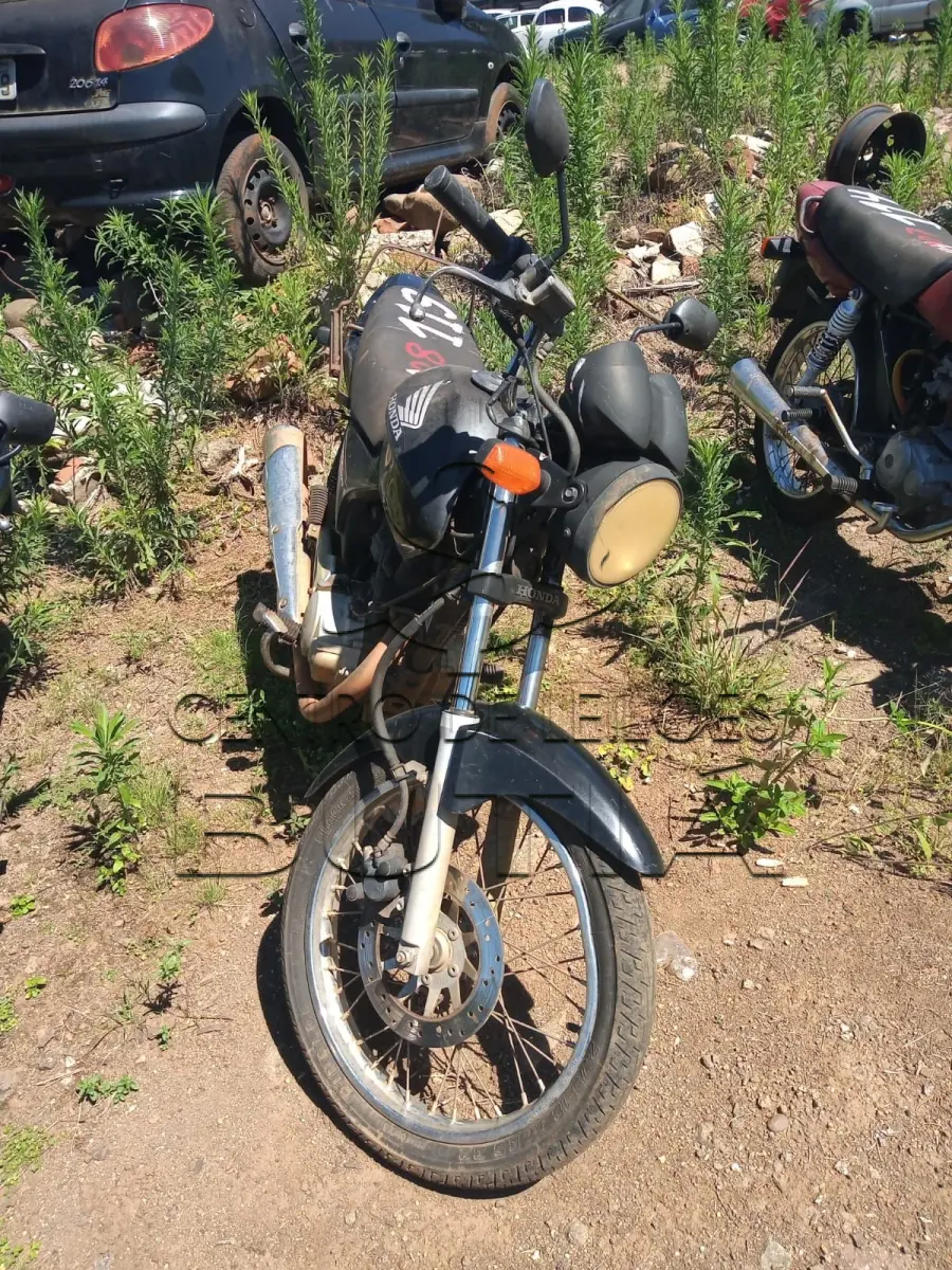 LOTE 0008