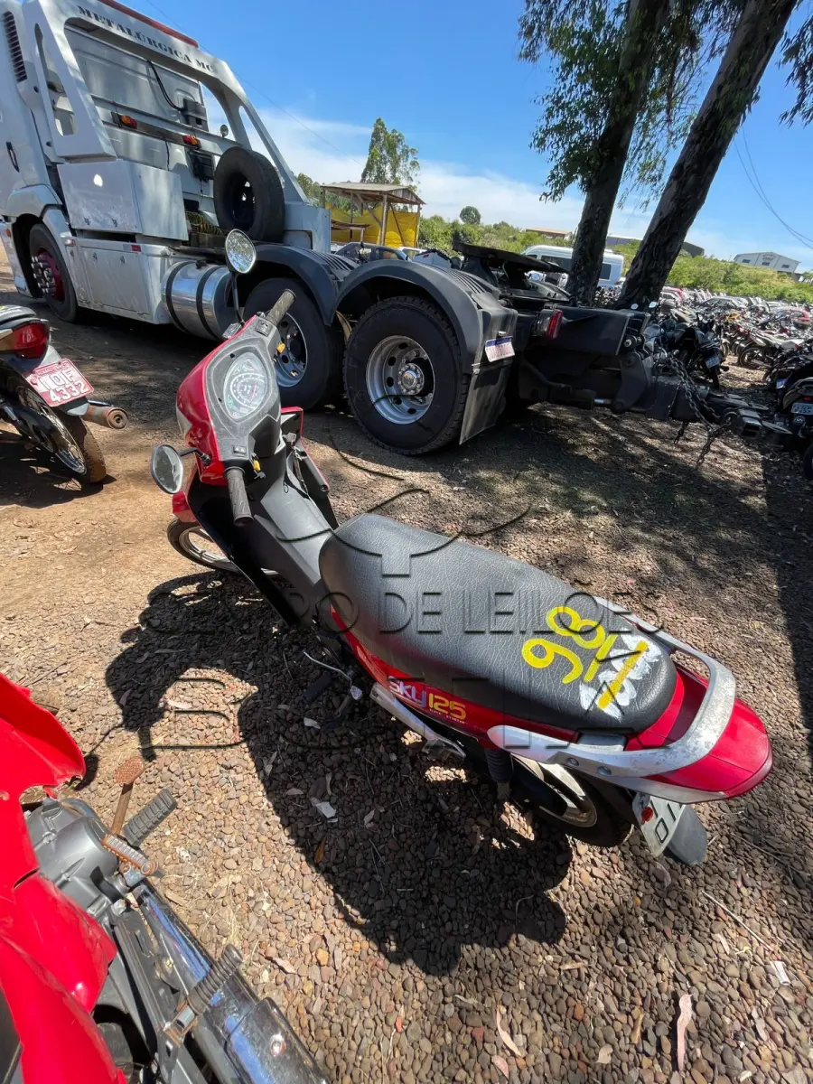 LOTE 0098