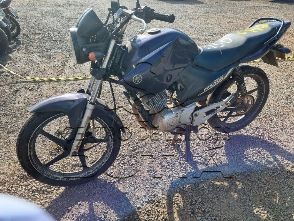 LOTE 0142