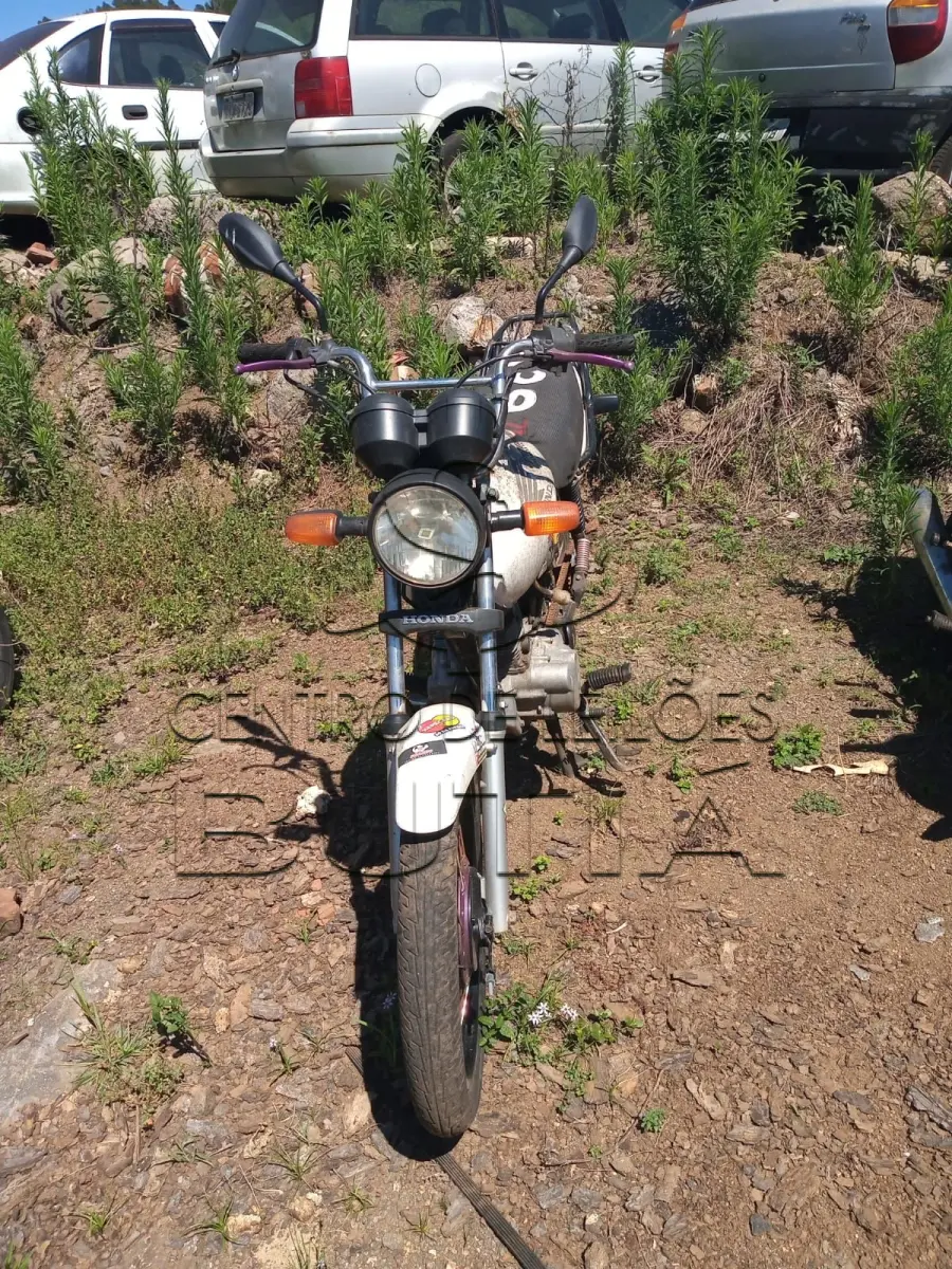 LOTE 0012