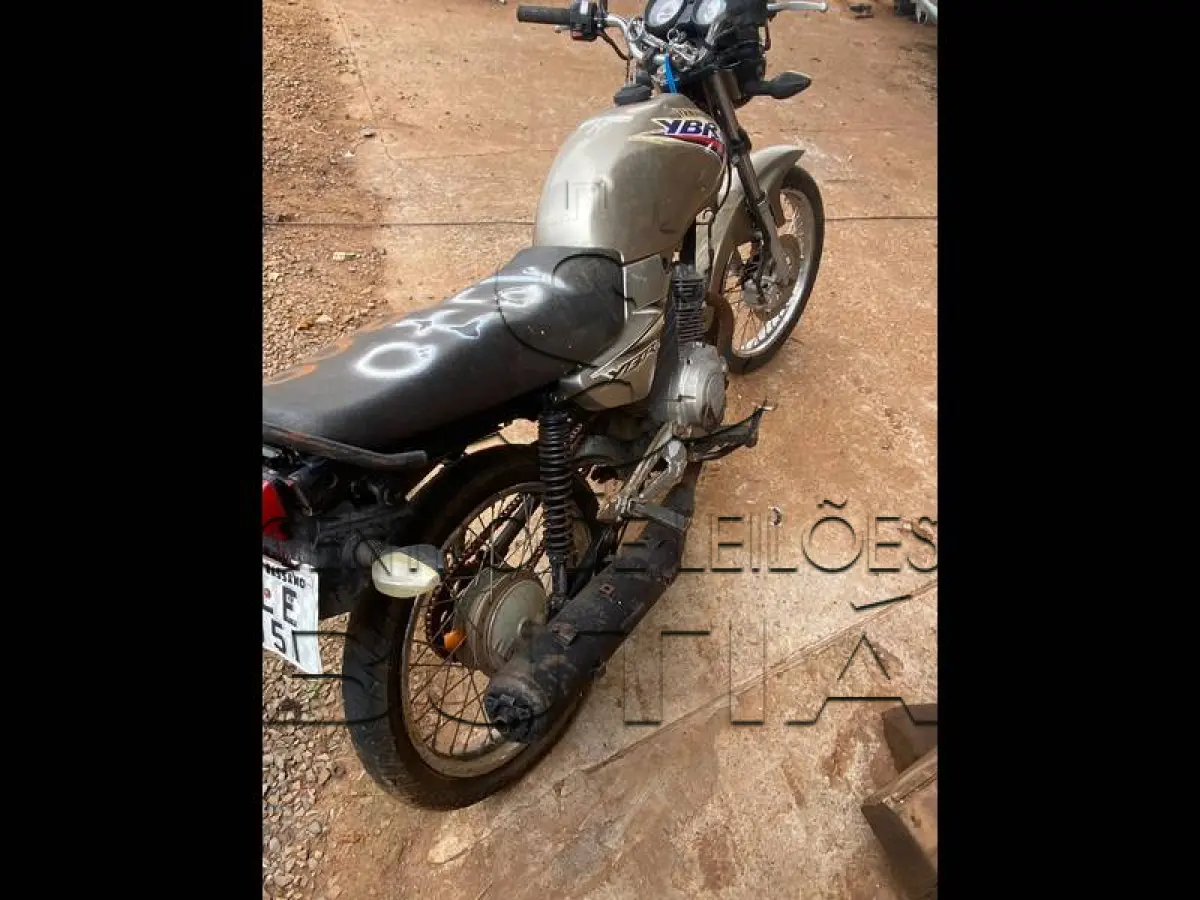 LOTE 0300
