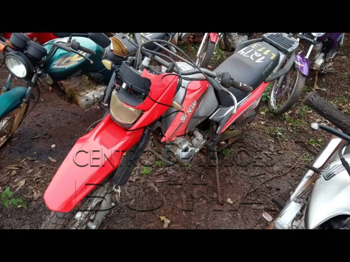 LOTE 0113