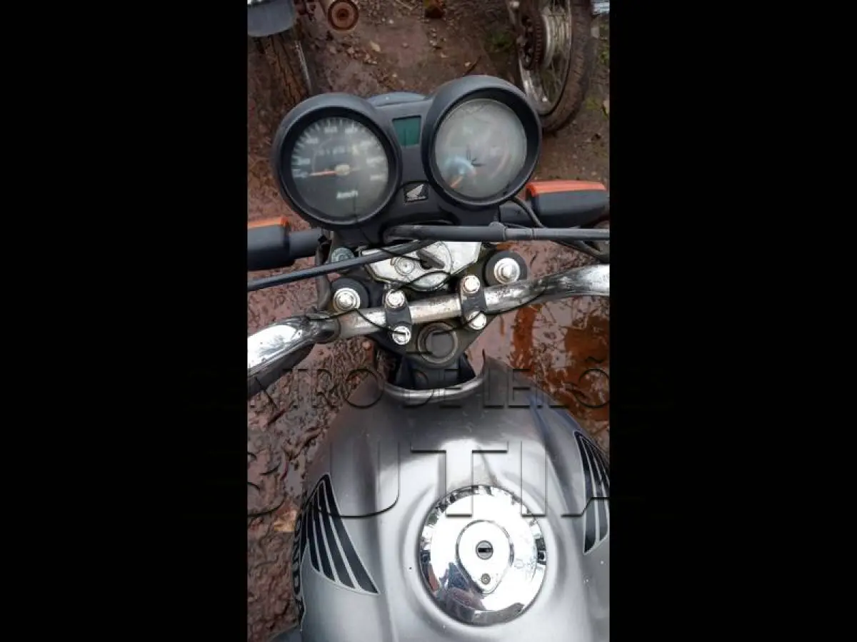 LOTE 0085