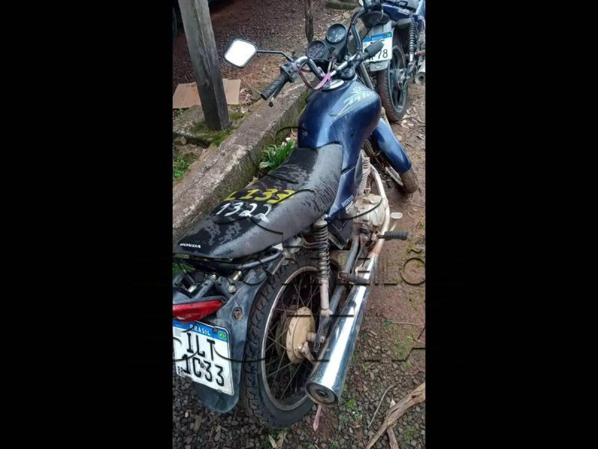 LOTE 0133