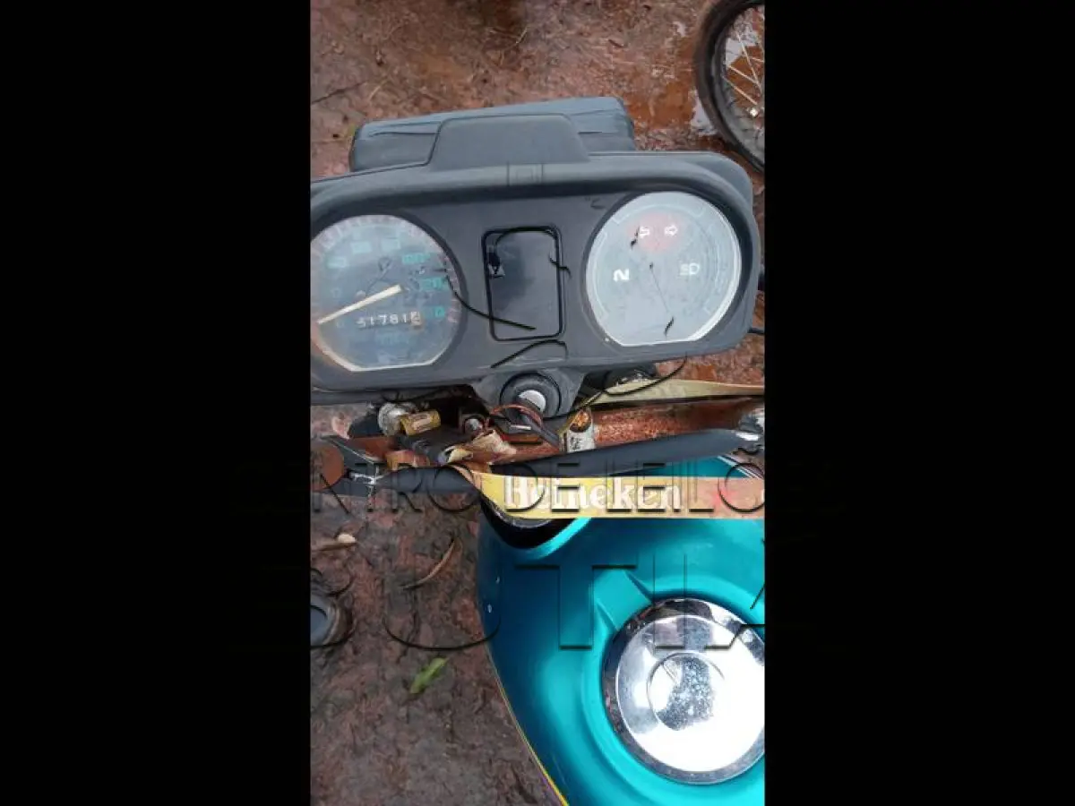LOTE 0072