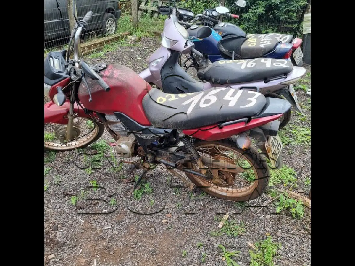 LOTE 0266