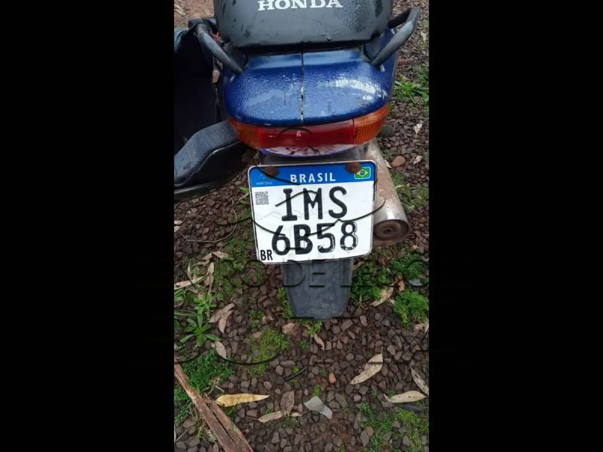 LOTE 0131