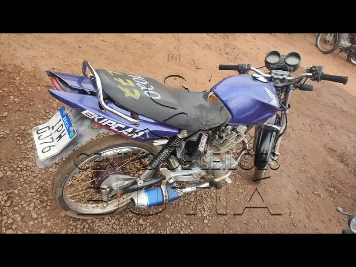 LOTE 0077