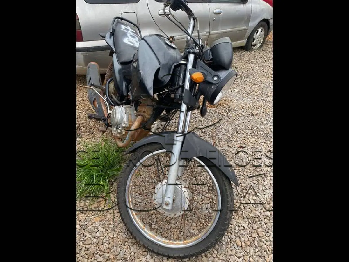 LOTE 0305