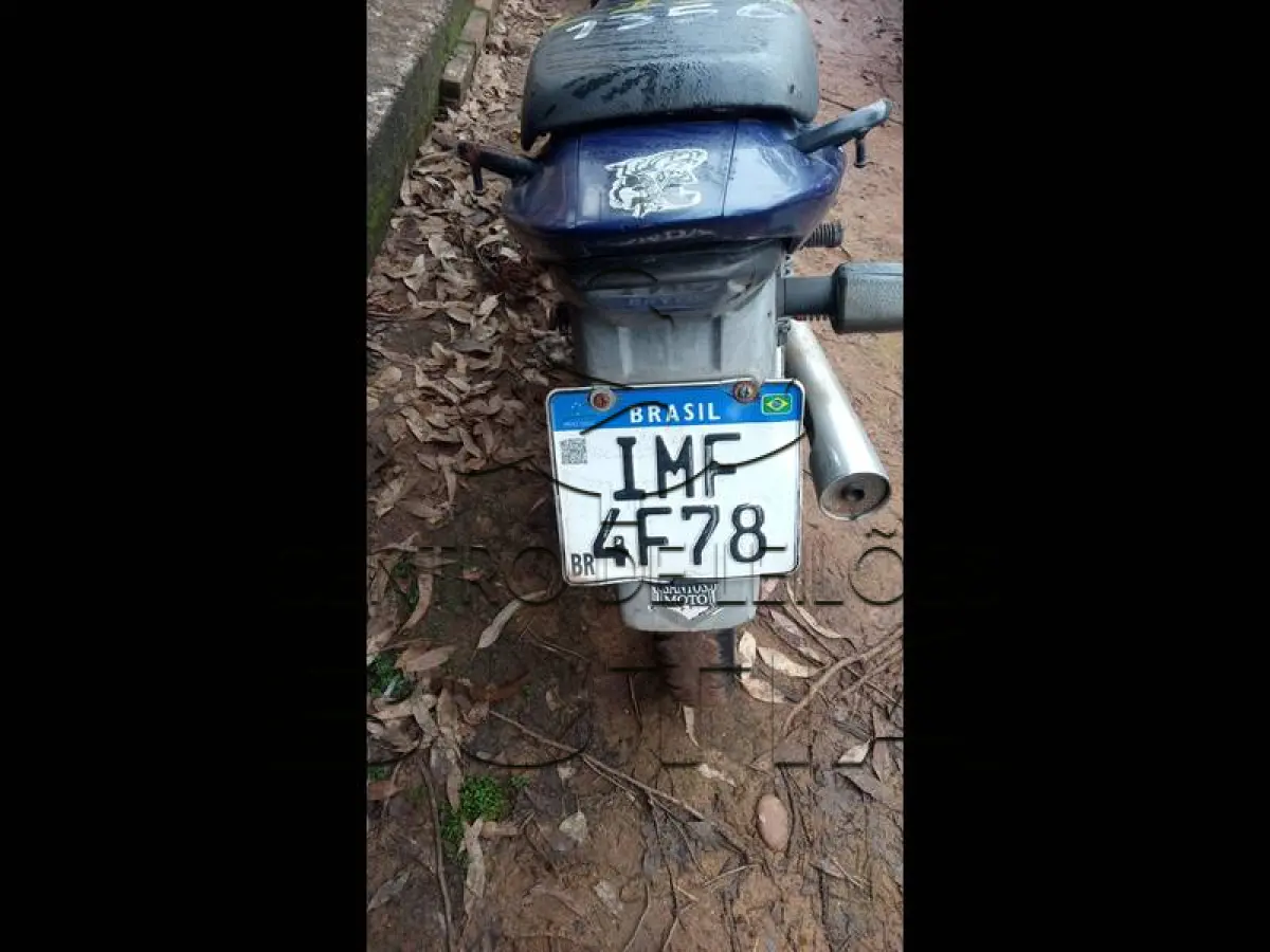 LOTE 0139