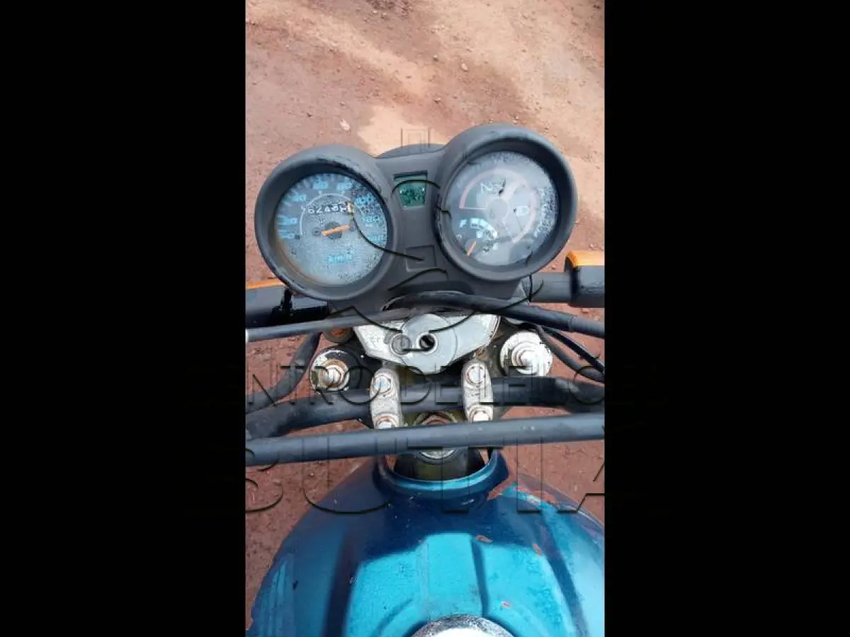 LOTE 0100