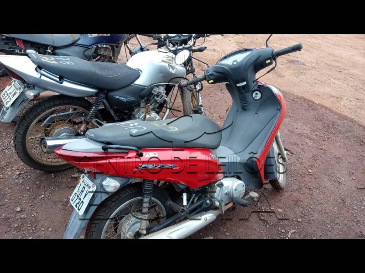 LOTE 0129