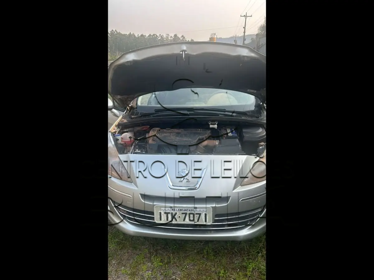 LOTE 0019