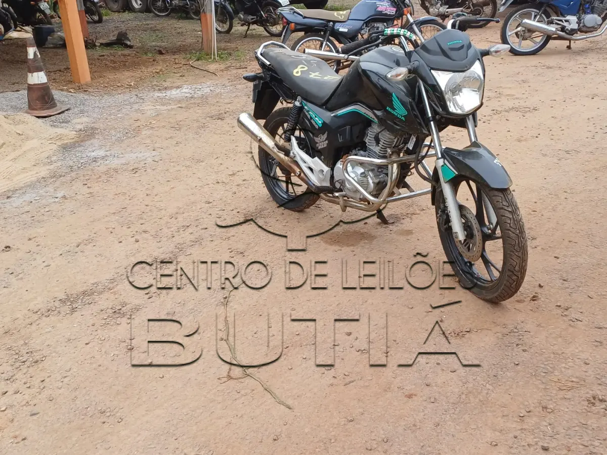 LOTE 0278