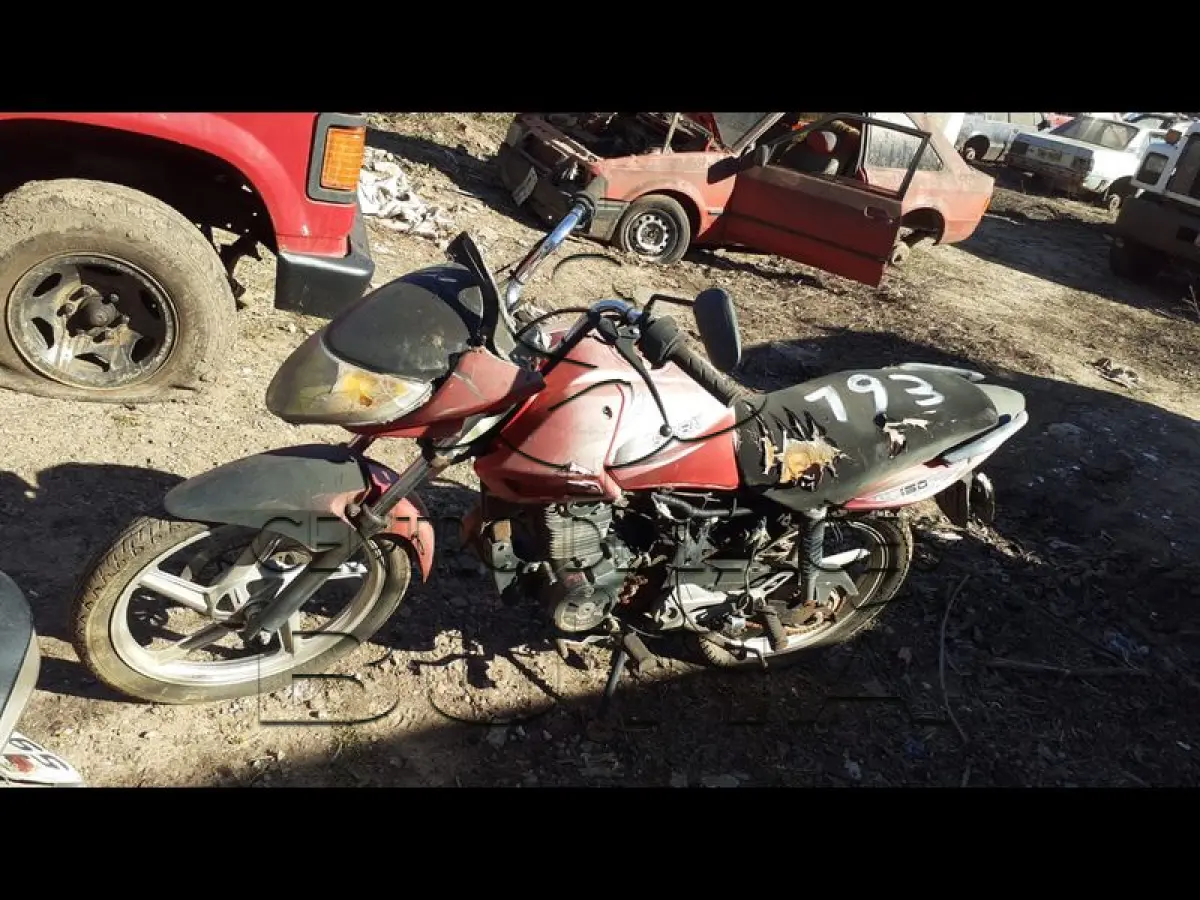 LOTE 0013