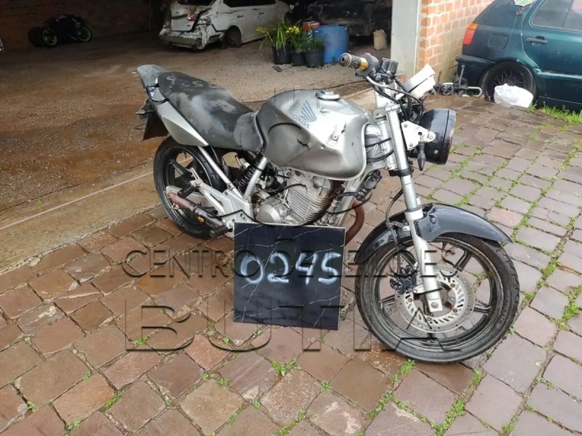 LOTE 0245
