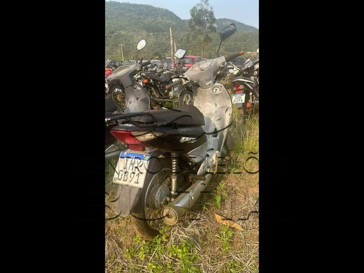 LOTE 0005