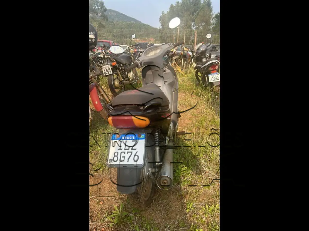 LOTE 0006