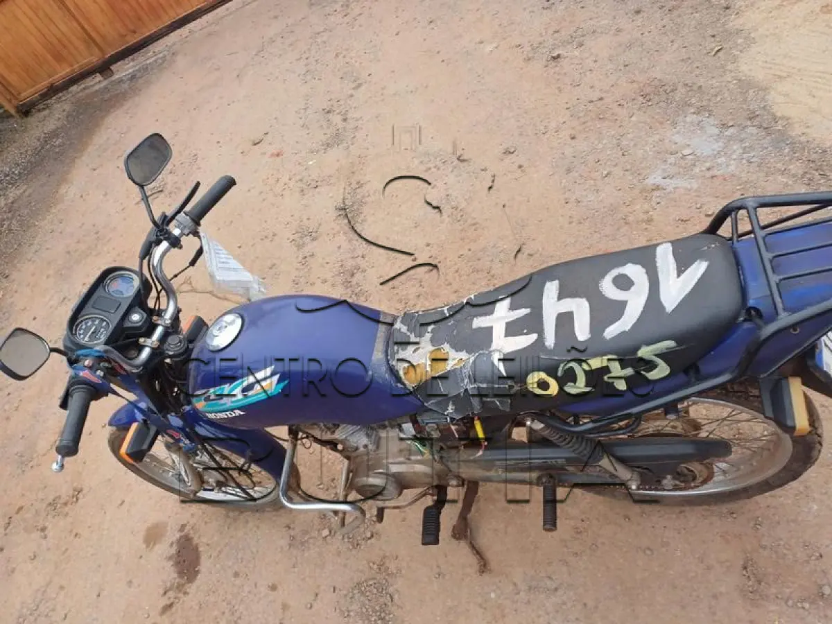 LOTE 0275