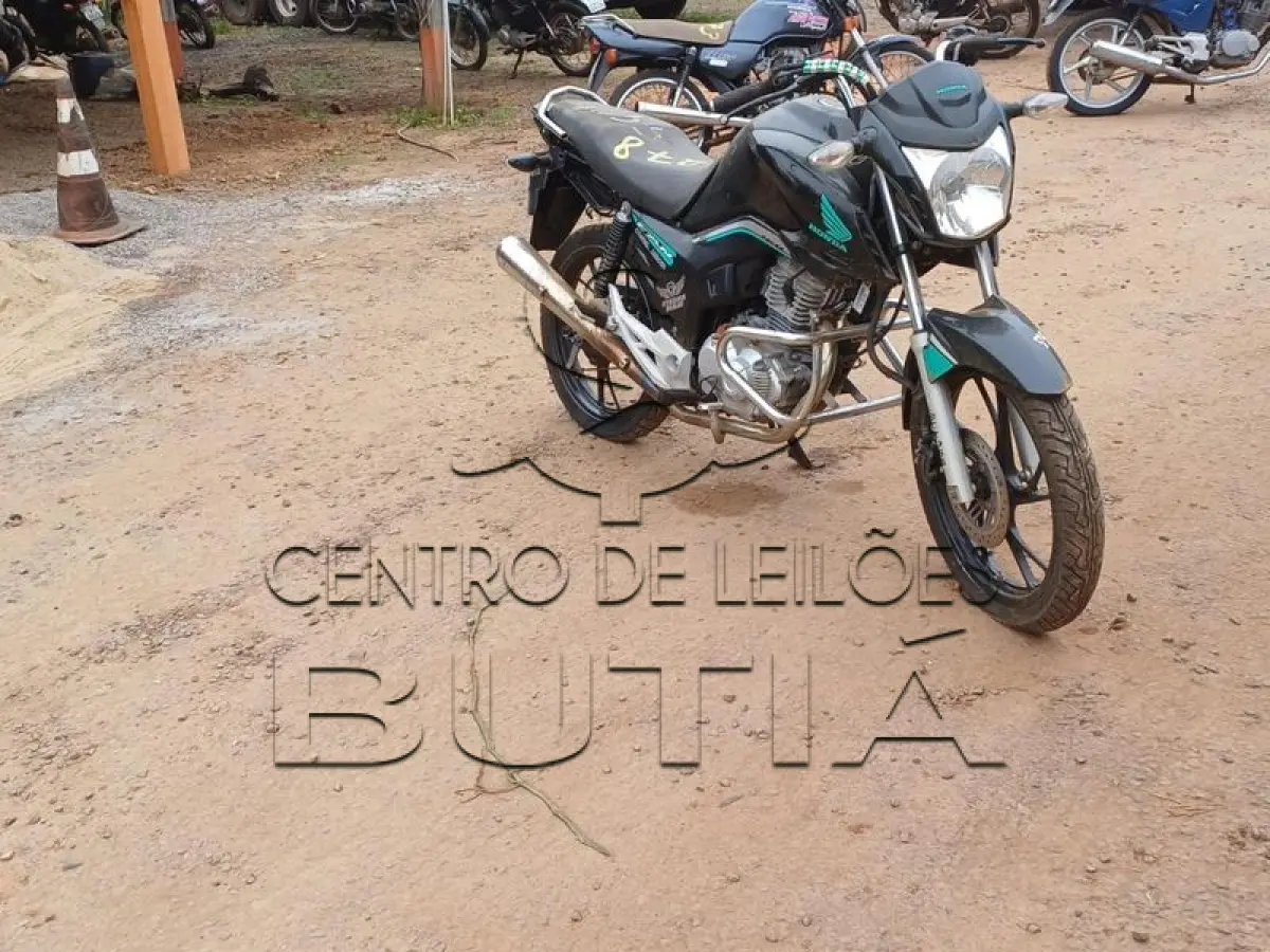 LOTE 0279