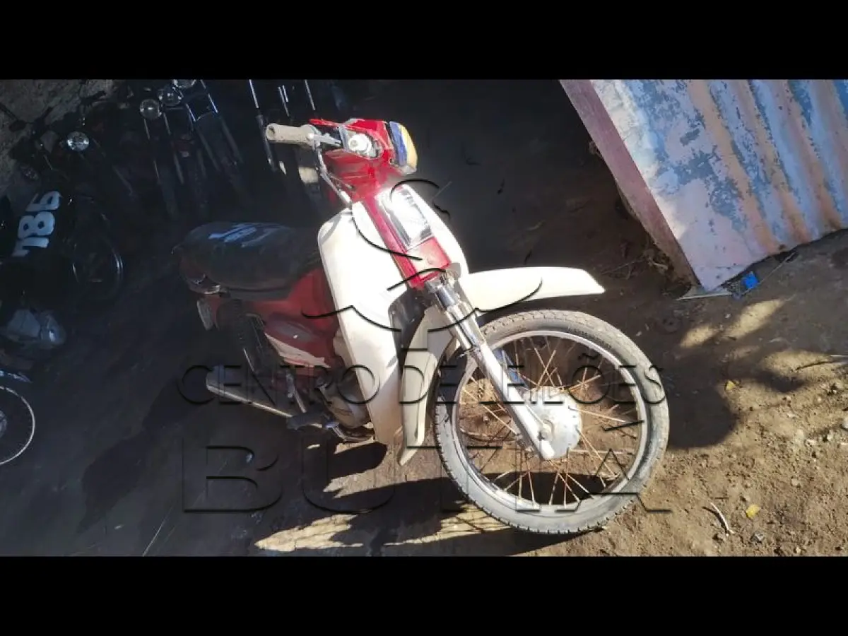 LOTE 0042